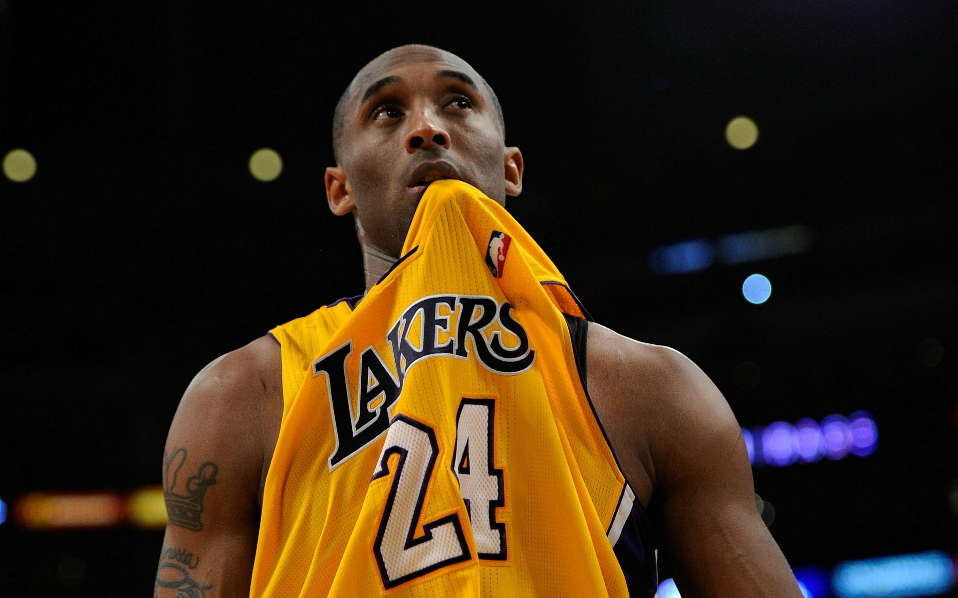 队高层的预 队高层的预