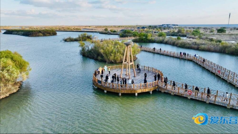 执行闭环 执行闭环