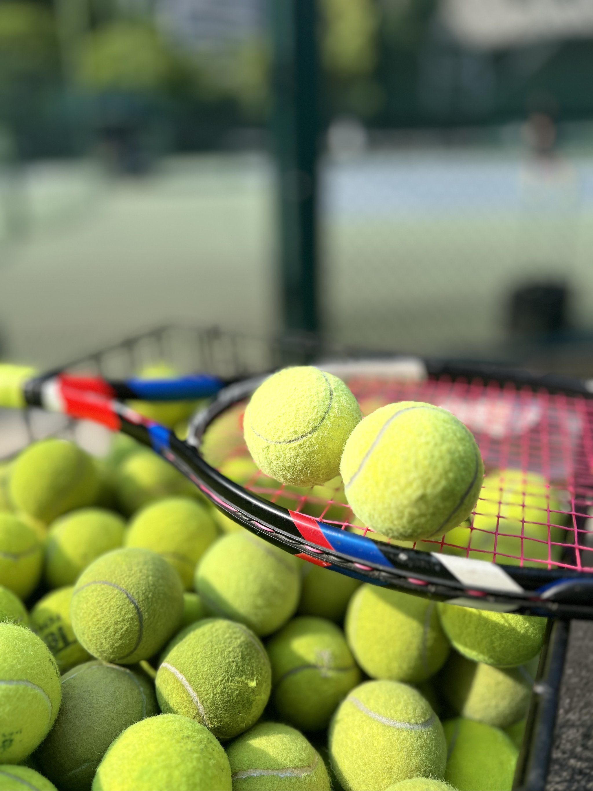 如某科幻R 如某科幻R